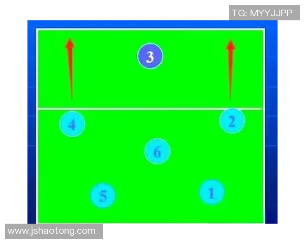 武汉排球队战术表现深度分析与数据解读探讨